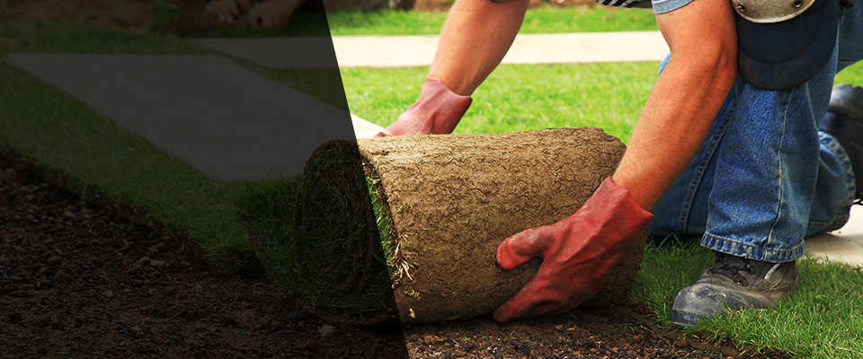 Milton Landscapers
